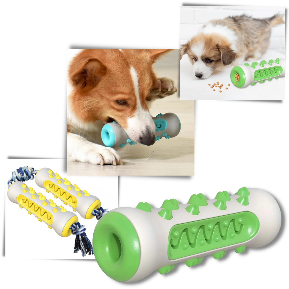 Giocattolo da masticare per la cura dei denti per cani - Ozerty